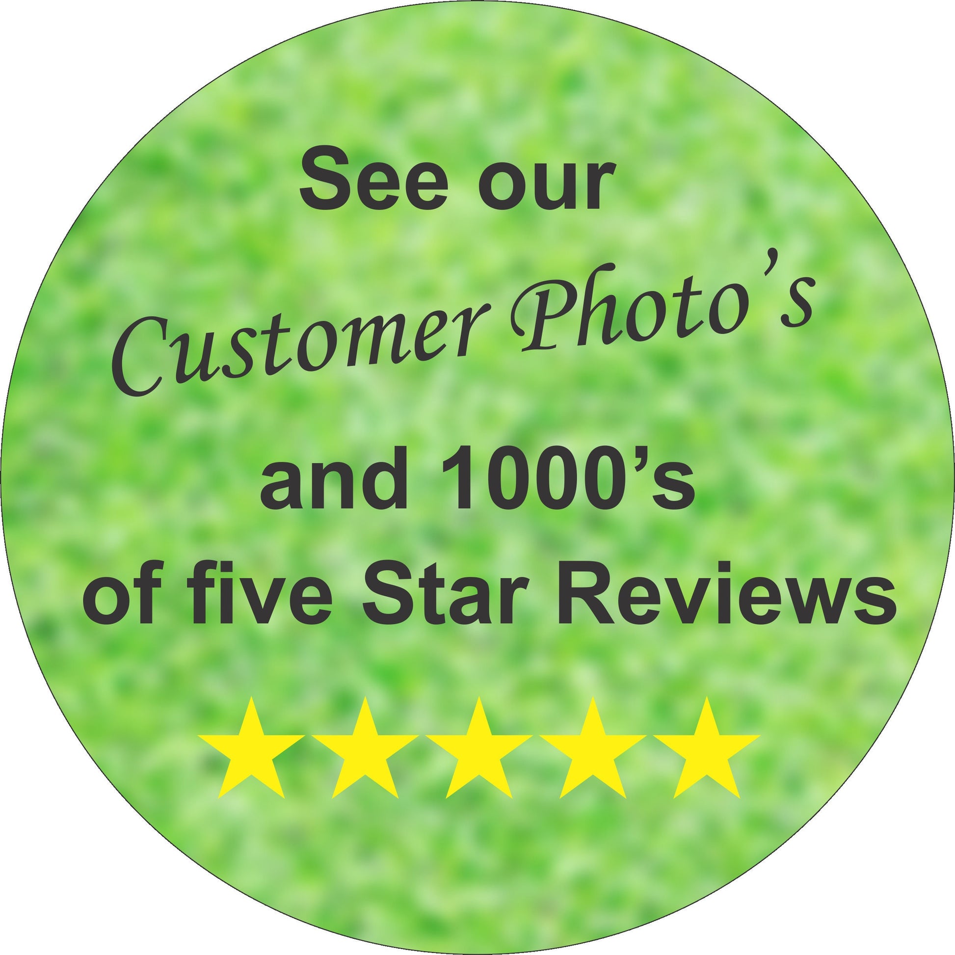 Pet Memorial Stone Grave Marker Granite Headstone Custom Photo Personalized Engraved Garden Memorial Optional Heavy Base Stand